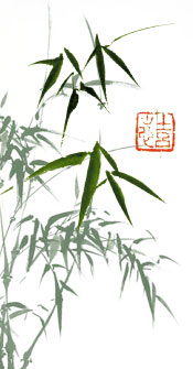 bamboo